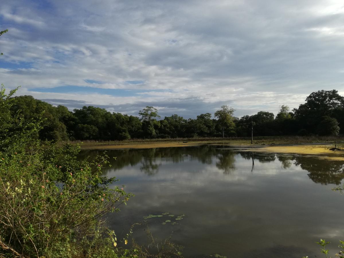 Induwara Safari Resort Удавалаве Екстериор снимка