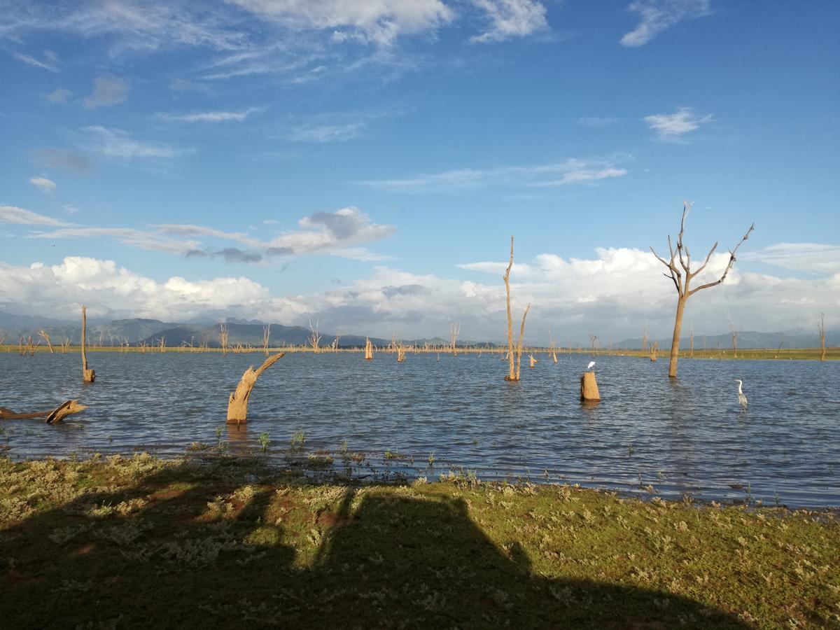 Induwara Safari Resort Удавалаве Екстериор снимка